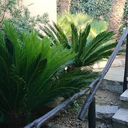 Prázdninový dům Seaview 79 Palau